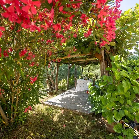 Aparthotel Al Foionco Lucca